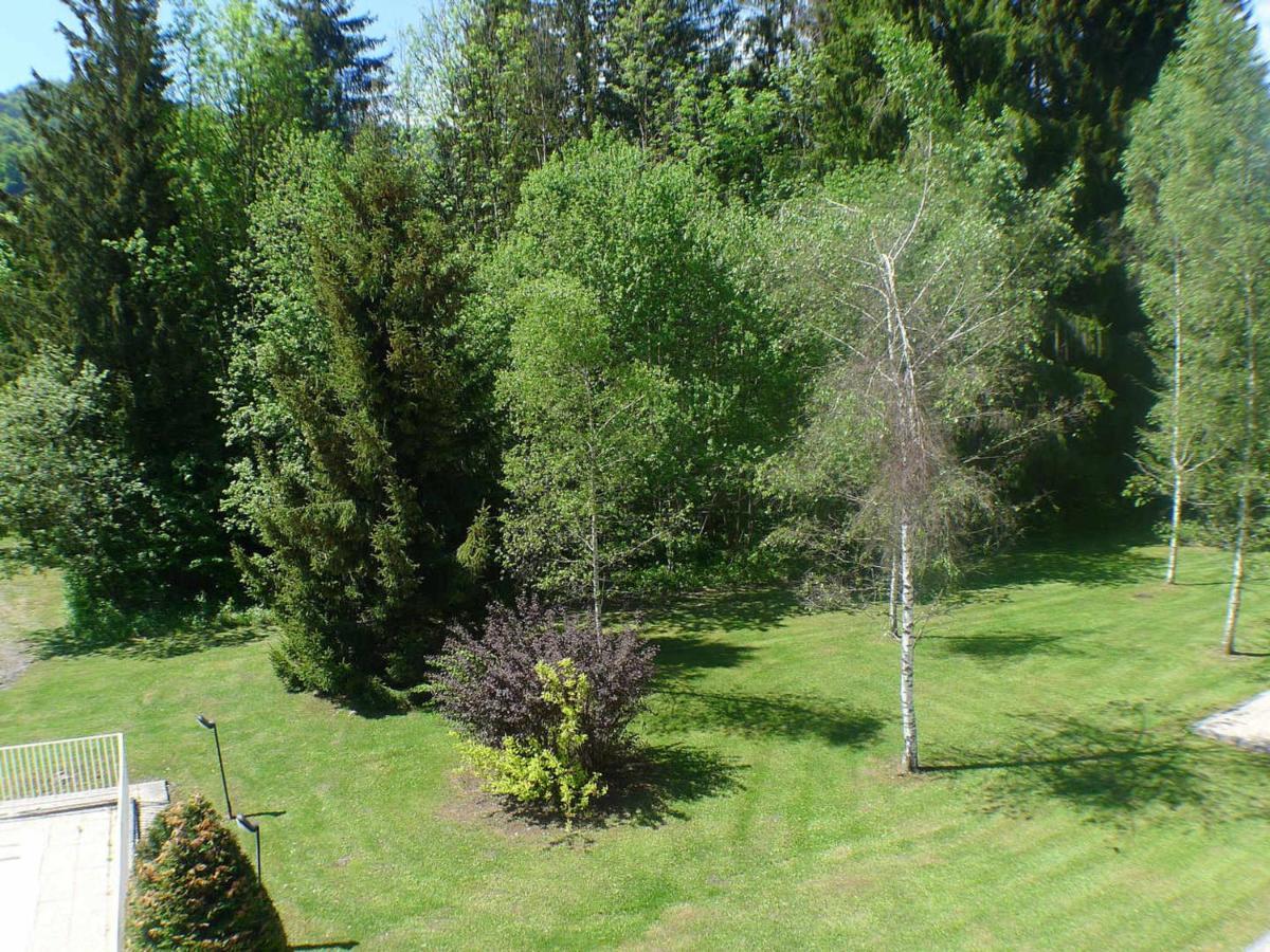 Appartement Cosy Avec Piscines, Parking Et Wifi A Samoens - Fr-1-629-32 Exterior photo